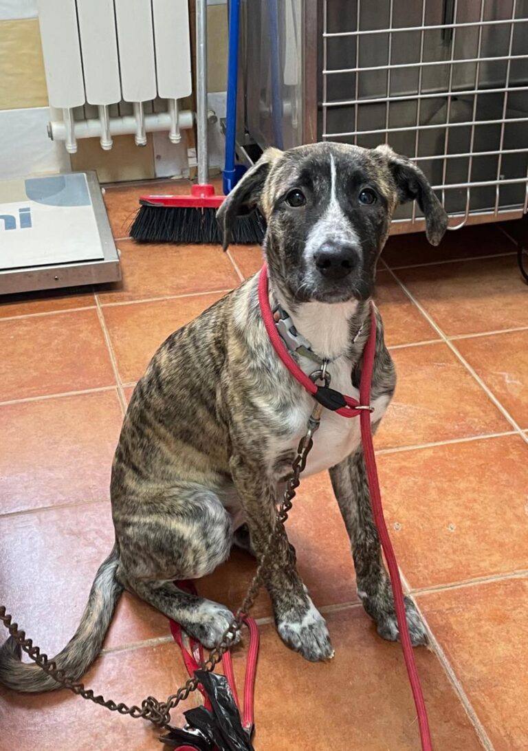 multimedia-foto87212-142-1