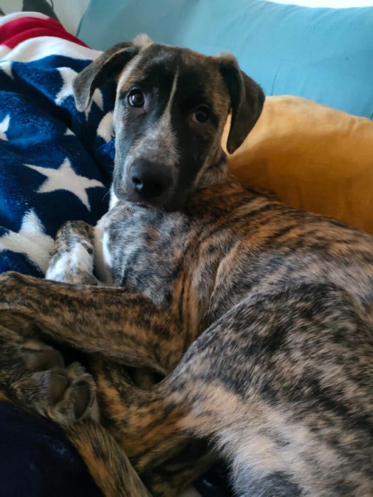 multimedia-foto87214-142-1