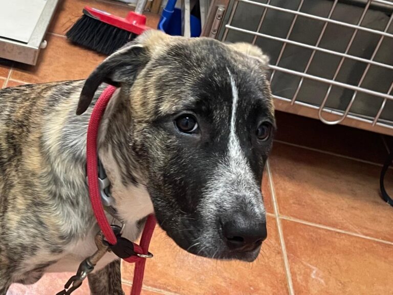 multimedia-foto87215-142-1