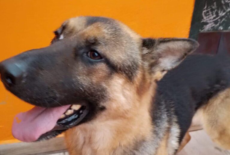 multimedia-foto87216-115-1