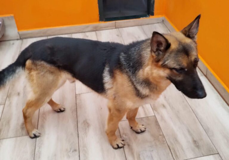 multimedia-foto87220-116-1