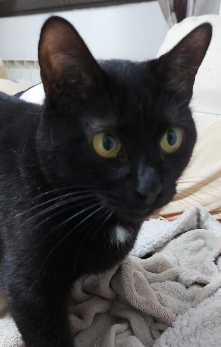 multimedia-foto87227-143-1