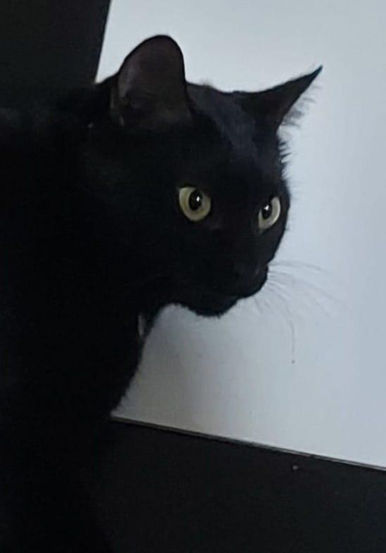 multimedia-foto87229-144-1