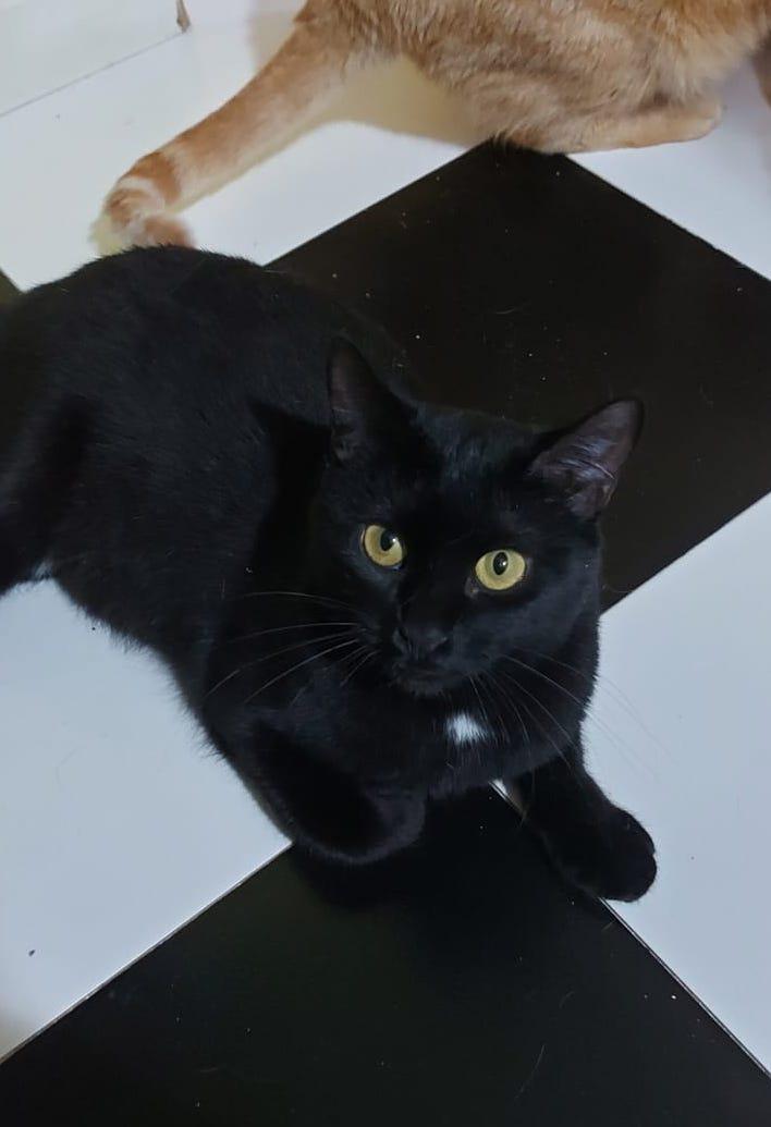 multimedia-foto87230-144-1