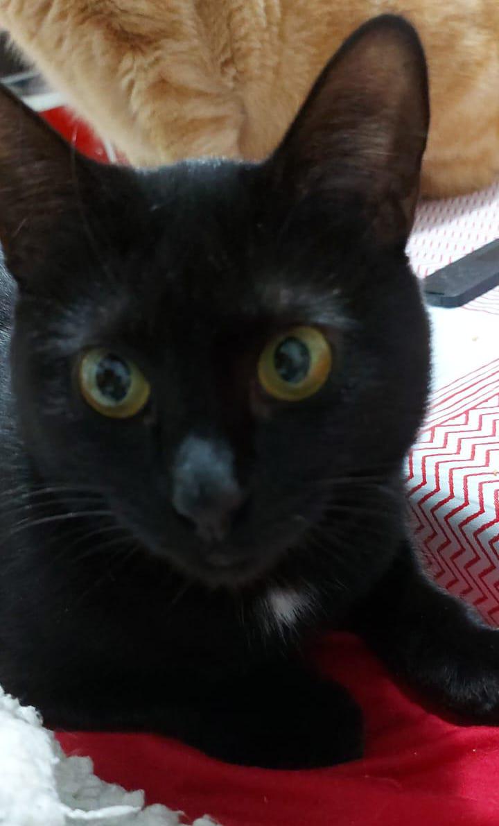 multimedia-foto87232-145-1