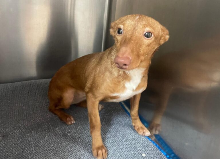 multimedia-foto87246-174-1