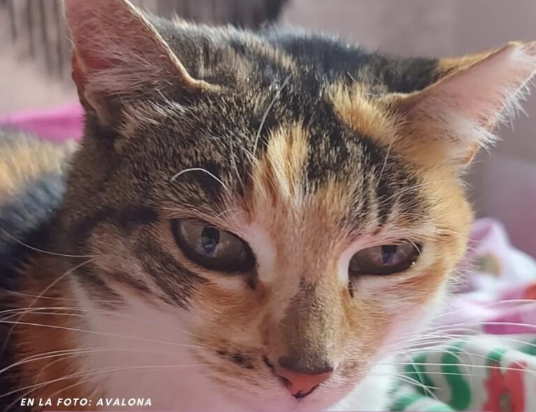 multimedia-foto87263-130-1