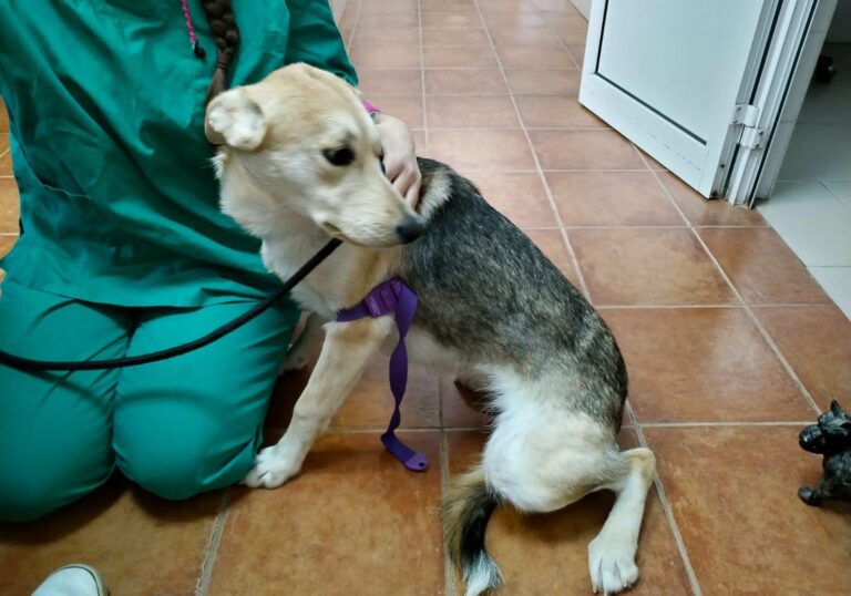 multimedia-foto87283-752-1