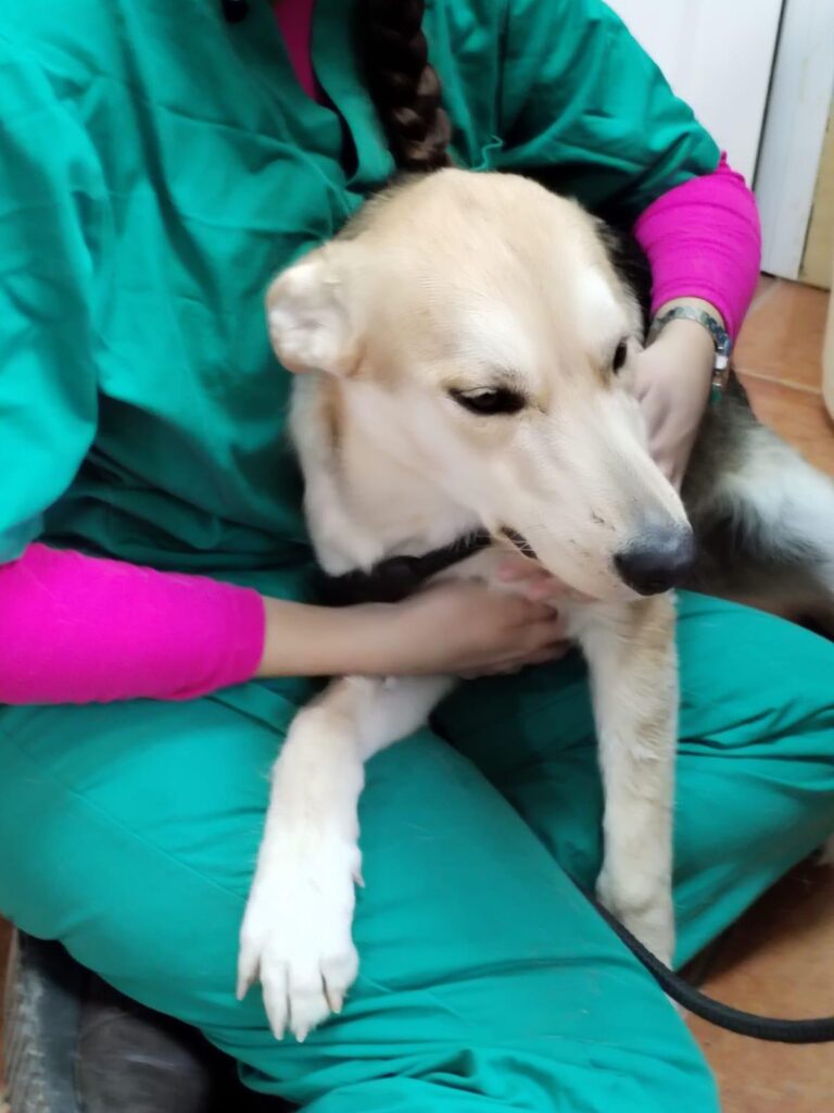 multimedia-foto87284-752-1