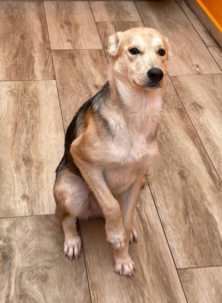 multimedia-foto87285-752-1