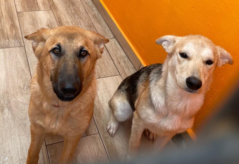 multimedia-foto87292-188-1