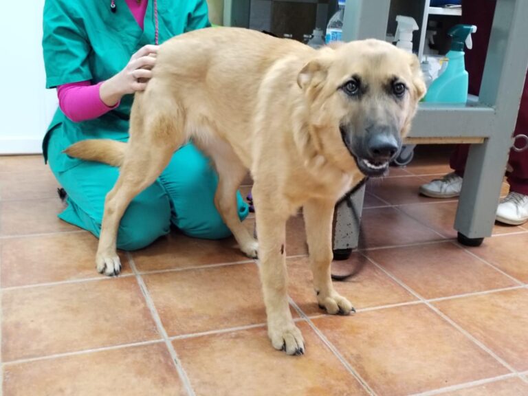 multimedia-foto87294-188-1