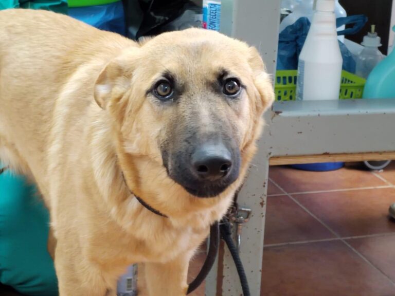 multimedia-foto87295-189-1