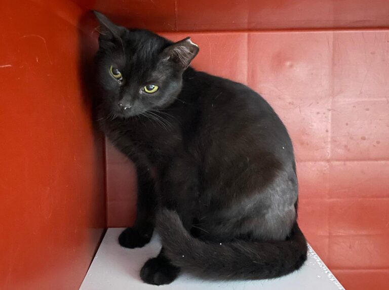 multimedia-foto87331-170-1