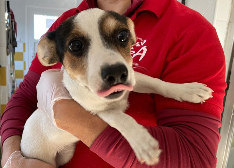 multimedia-foto87354-328-1