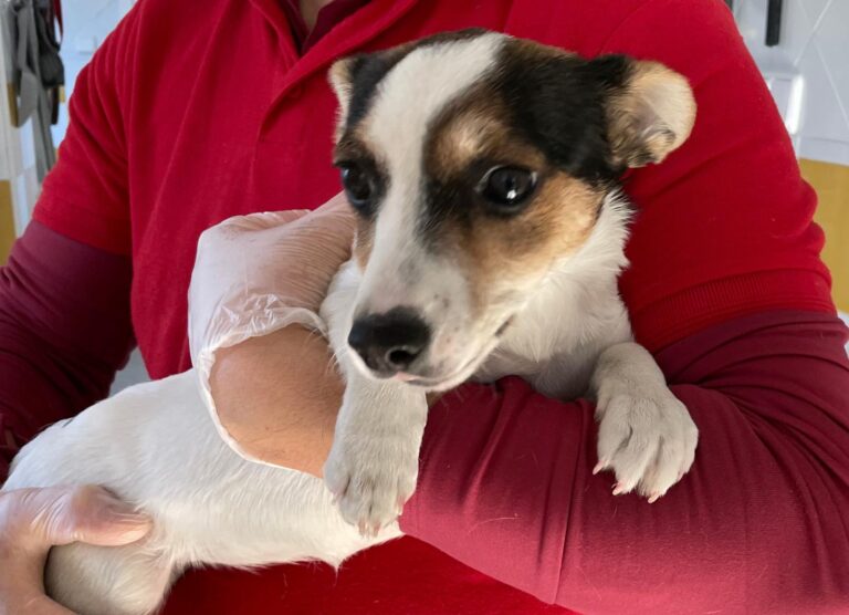 multimedia-foto87355-328-1