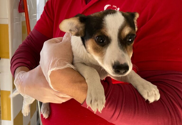 multimedia-foto87356-329-1