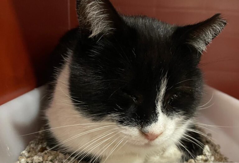 multimedia-foto87378-350-1