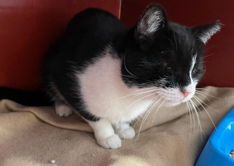 multimedia-foto87379-350-1