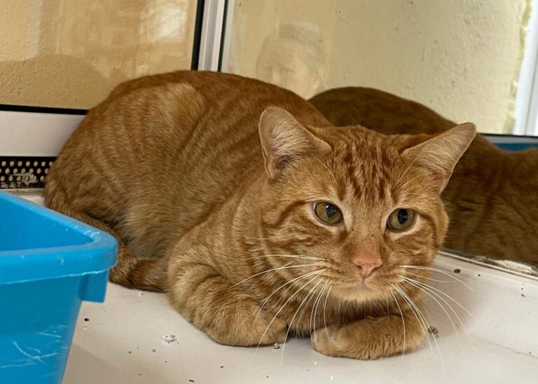 multimedia-foto87380-29-1