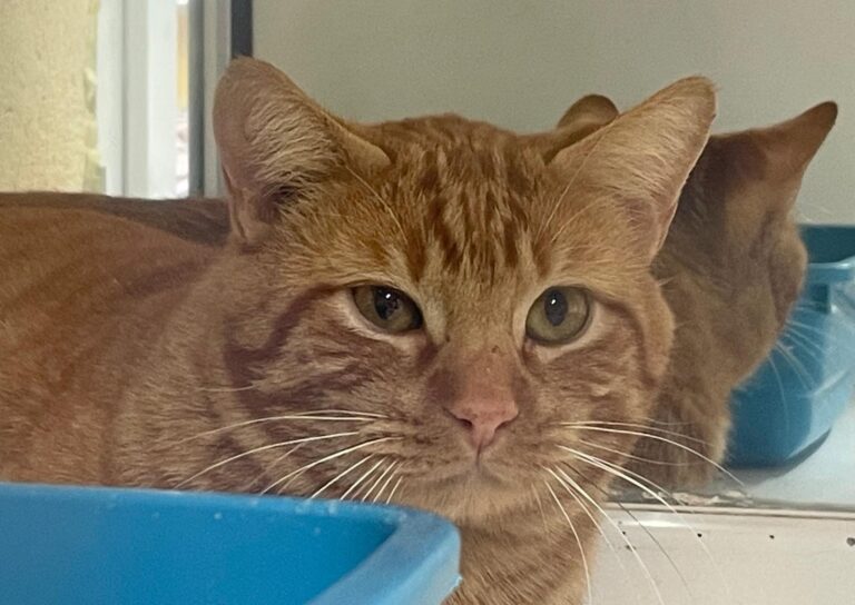 multimedia-foto87382-30-1