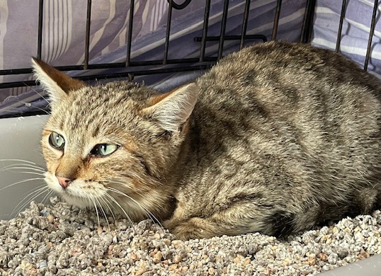 multimedia-foto87385-459-1