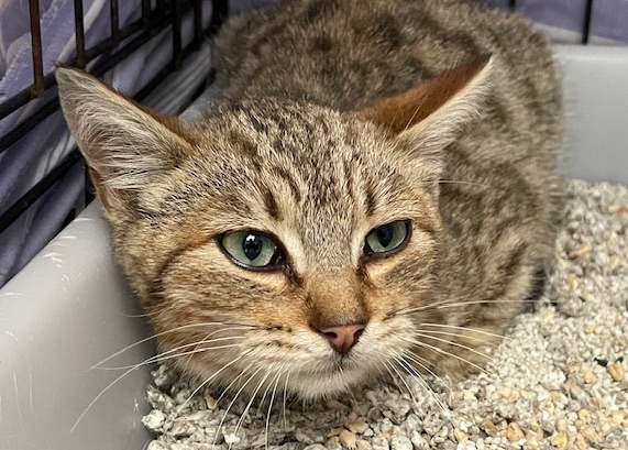 multimedia-foto87386-459-1