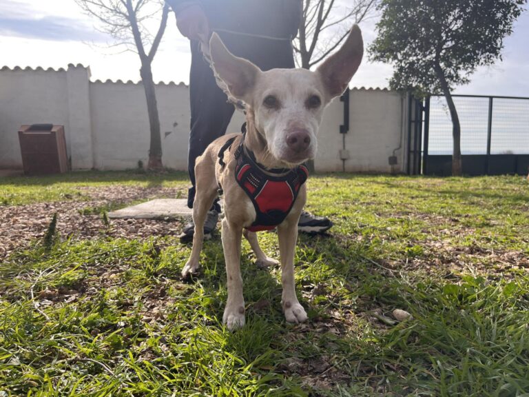 multimedia-foto87396-437-1