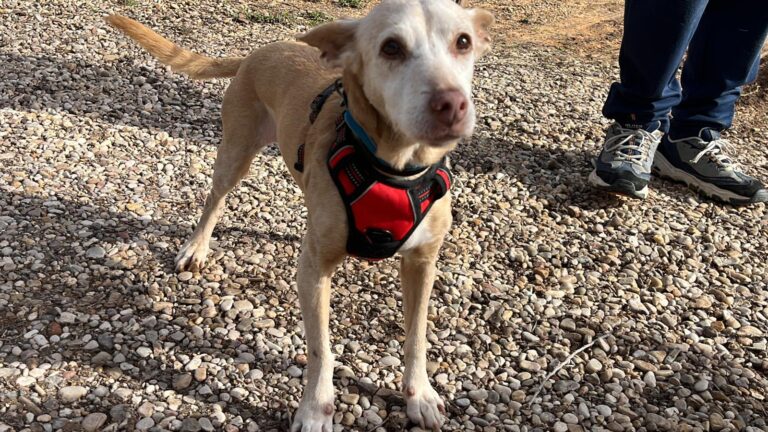 multimedia-foto87398-437-1