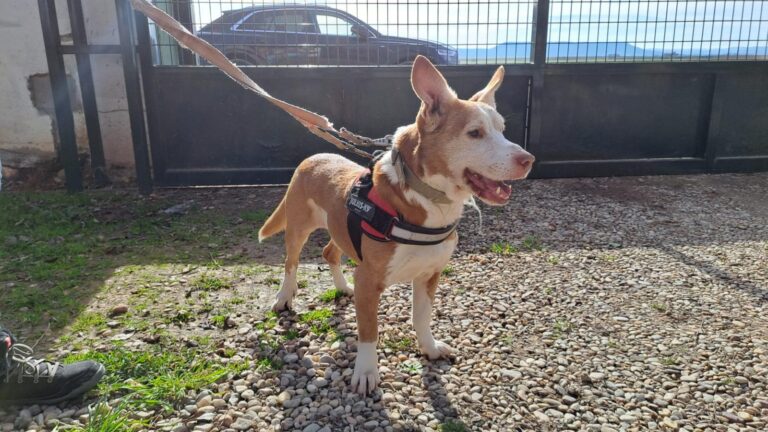 multimedia-foto87400-524-1