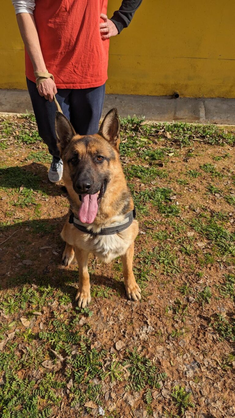 multimedia-foto87404-627-1