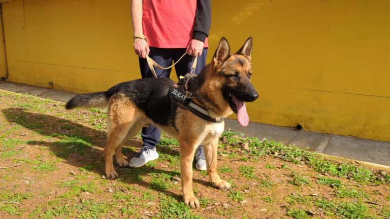 multimedia-foto87405-627-1