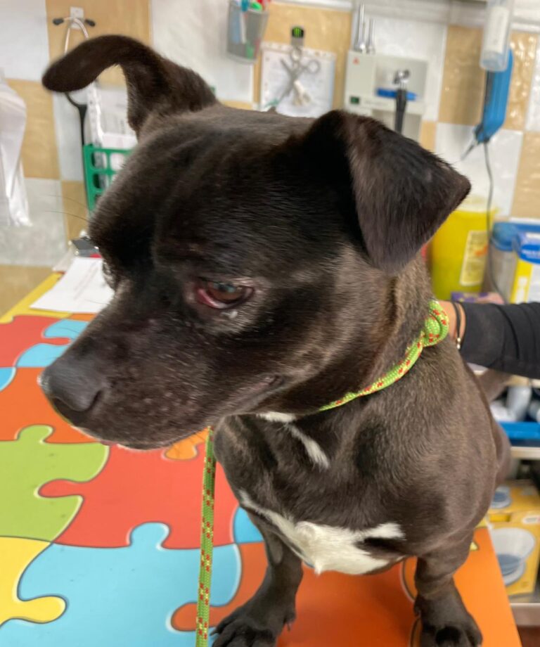 multimedia-foto87421-671-1