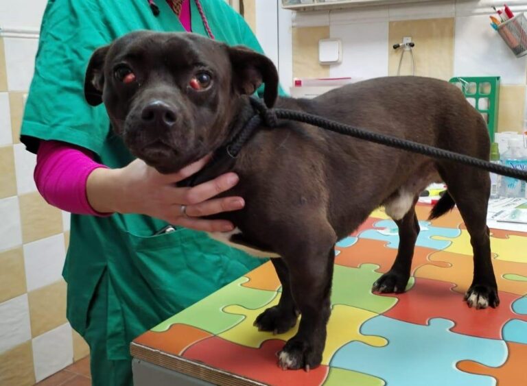 multimedia-foto87422-671-1