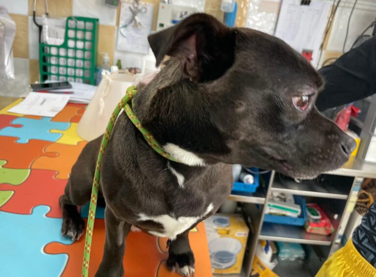 multimedia-foto87424-671-1