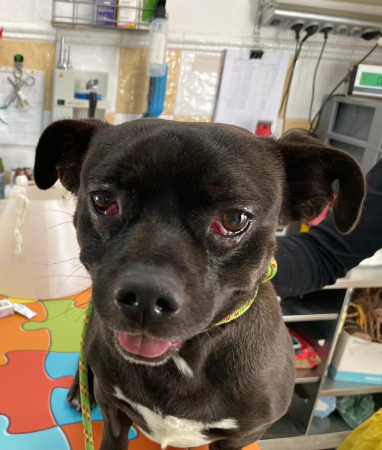 multimedia-foto87425-671-1