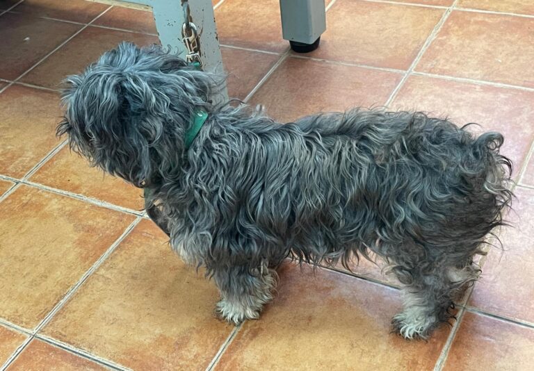 multimedia-foto87428-358-1