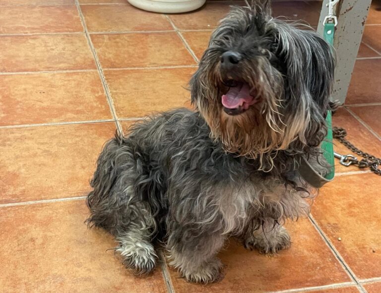 multimedia-foto87429-358-1