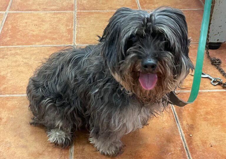 multimedia-foto87430-358-1