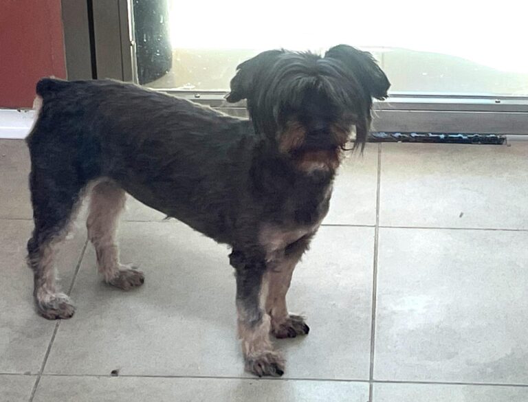 multimedia-foto87431-358-1