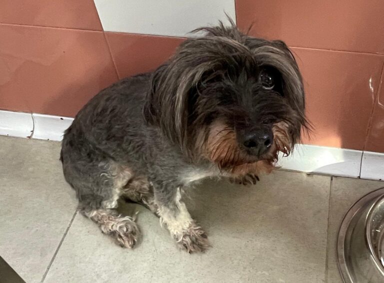 multimedia-foto87432-359-1