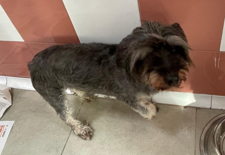 multimedia-foto87433-359-1