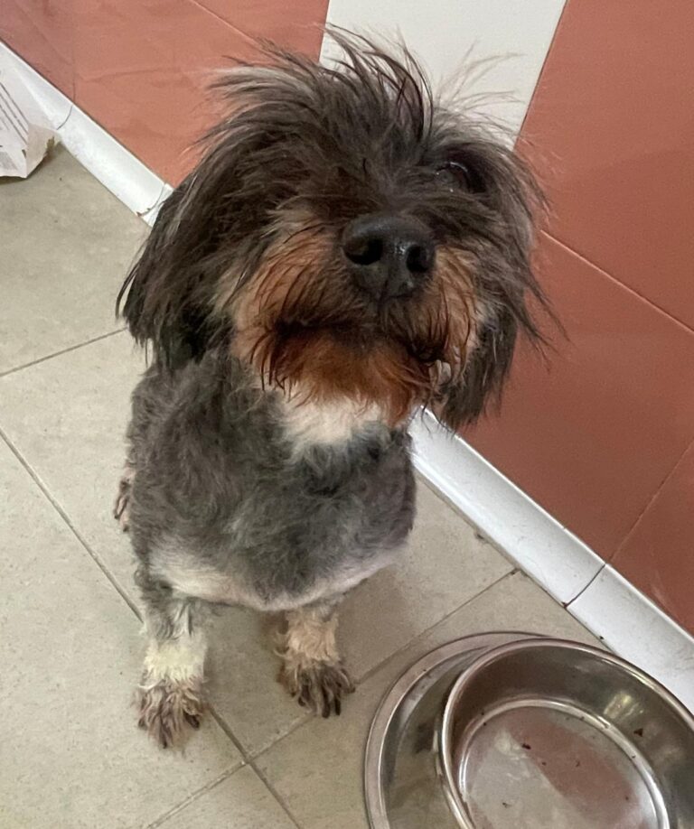 multimedia-foto87434-359-1