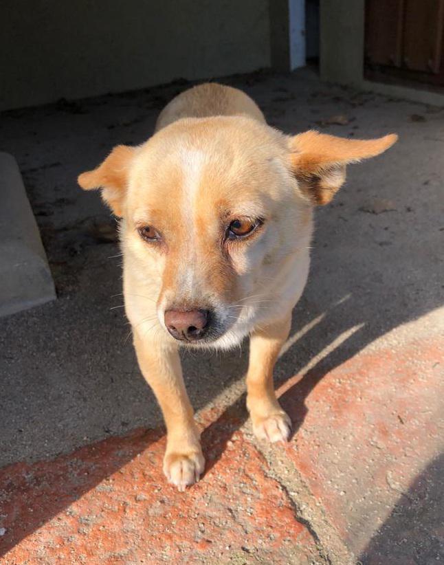 multimedia-foto87436-708-1