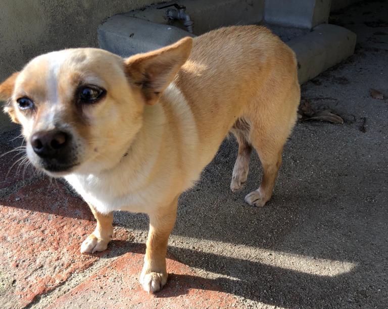 multimedia-foto87437-708-1