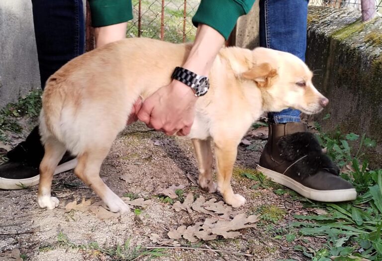 multimedia-foto87438-708-1