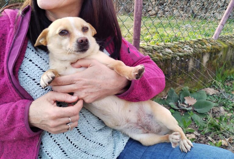 multimedia-foto87439-708-1