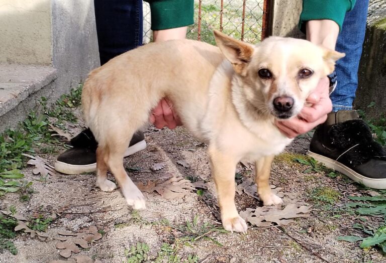 multimedia-foto87440-708-1