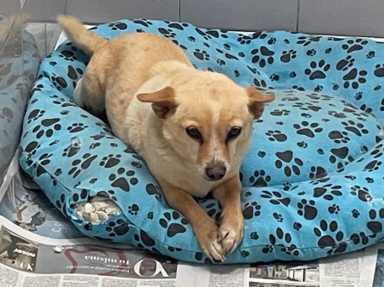 multimedia-foto87443-709-1