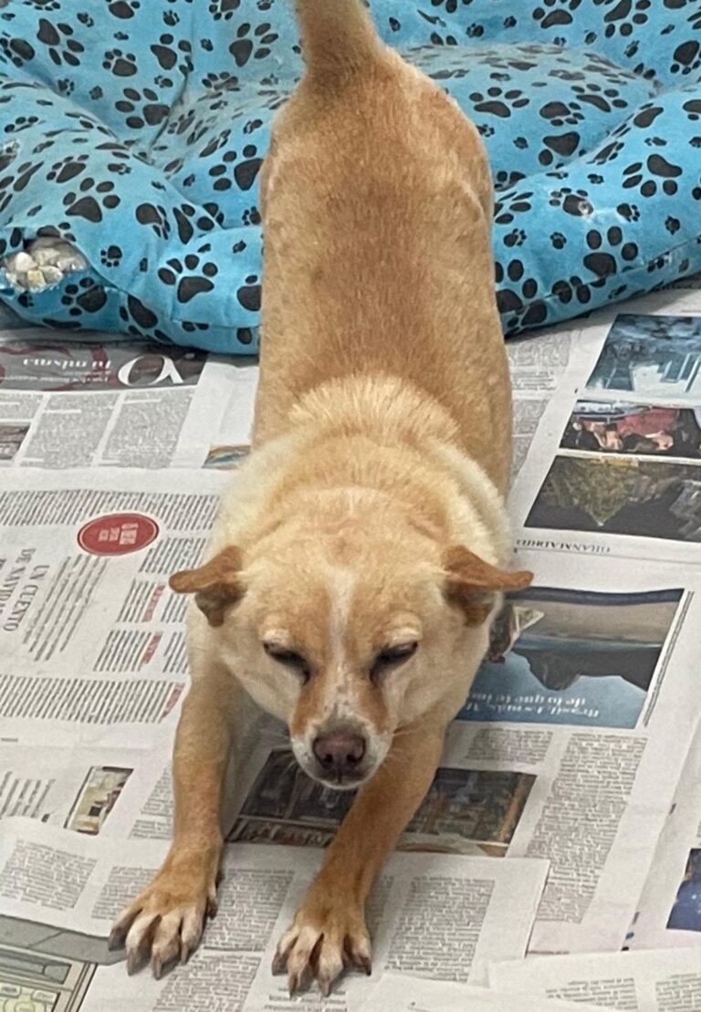 multimedia-foto87444-709-1